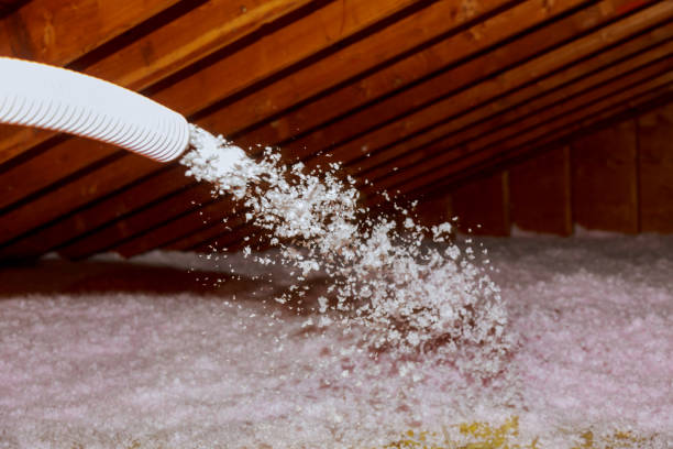 Best Energy Efficiency Solutions in Pelican Bay, TX