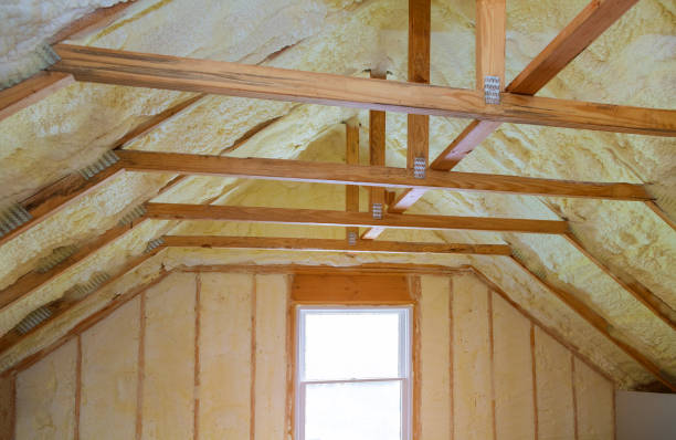 Best Insulation Maintenance and Repair in Pelican Bay, TX