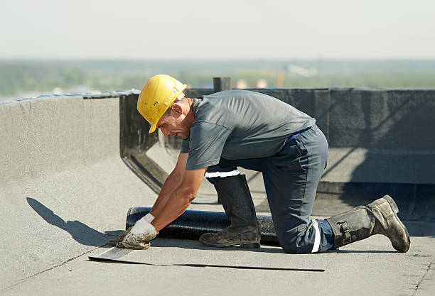 Best Insulation Maintenance and Repair in Pelican Bay, TX
