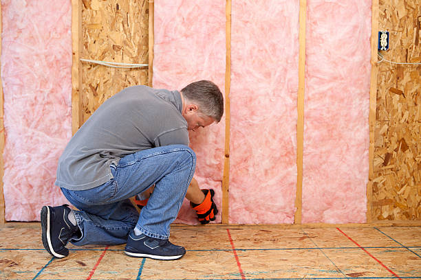 Best Types of Insulation in Pelican Bay, TX