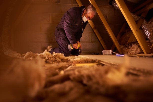 Best Residential Insulation in Pelican Bay, TX
